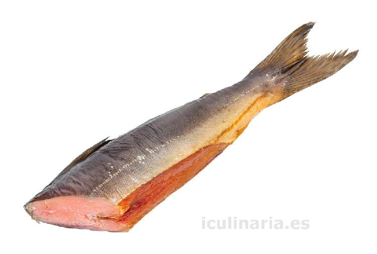 salmón real | Innova Culinaria