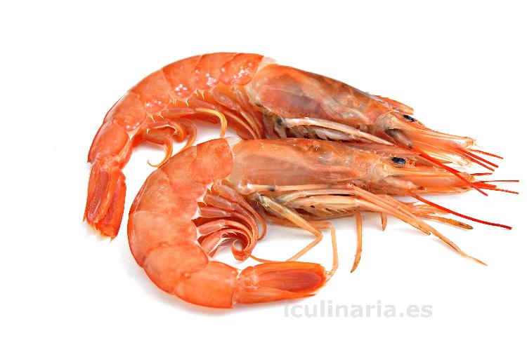 gamba | Innova Culinaria