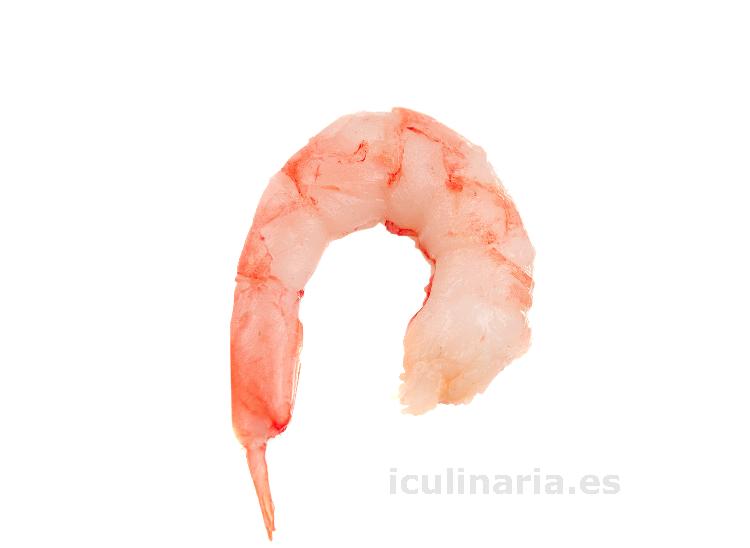 gamba | Innova Culinaria