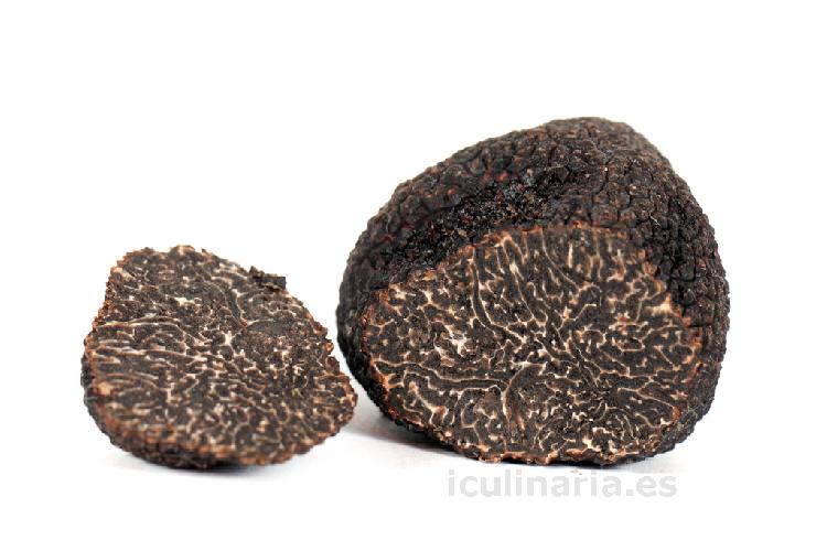 trufa negra | Innova Culinaria