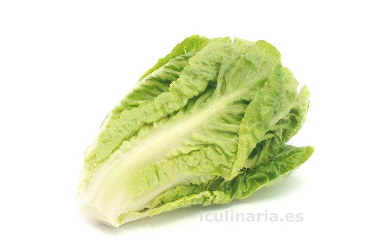 lechuga | Innova Culinaria