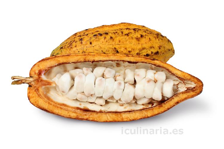 haba de cacao | Innova Culinaria