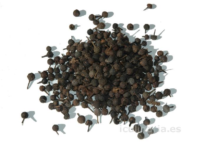 pimienta cubeb | Innova Culinaria