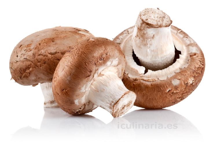 champiñón portobello | Innova Culinaria