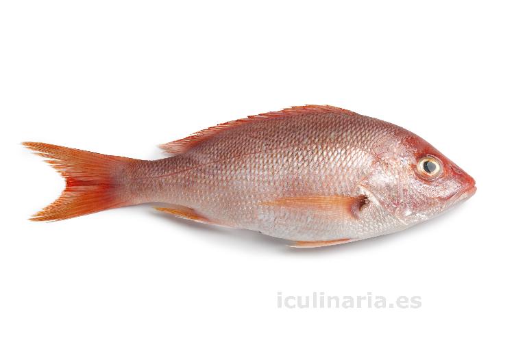 palometa roja | Innova Culinaria