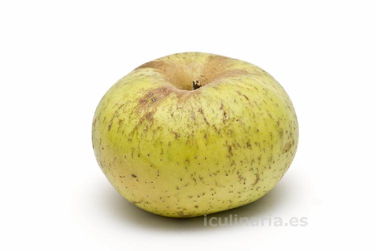 manzana | Innova Culinaria