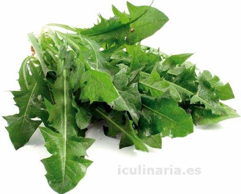 Diente de león verde | Innova Culinaria