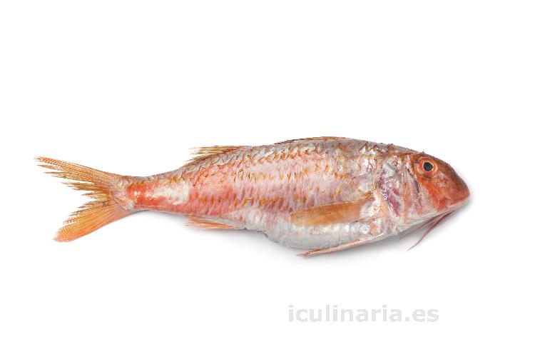 salmonete de roca | Innova Culinaria