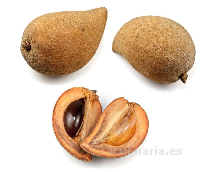 mamey | Innova Culinaria