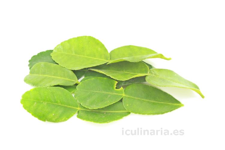 hoja de lima | Innova Culinaria