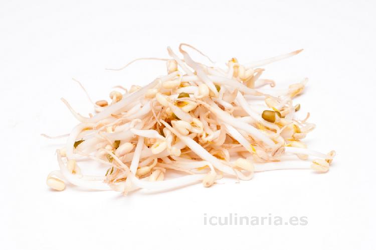 Germinado de soja | Innova Culinaria