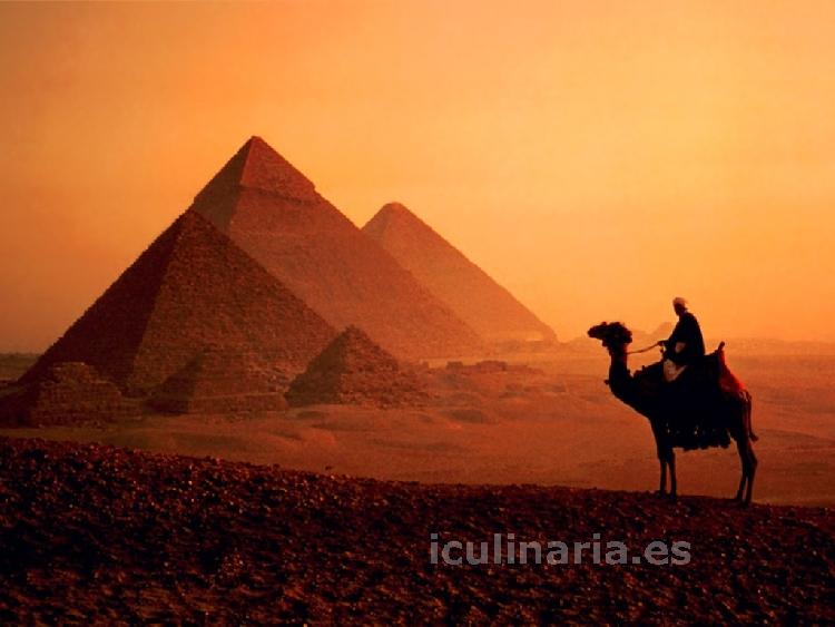 Egipto | Innova Culinaria
