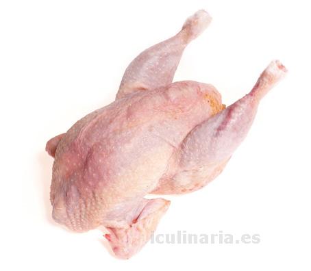 gallina | Innova Culinaria