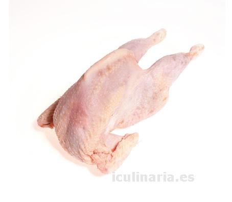 gallina | Innova Culinaria