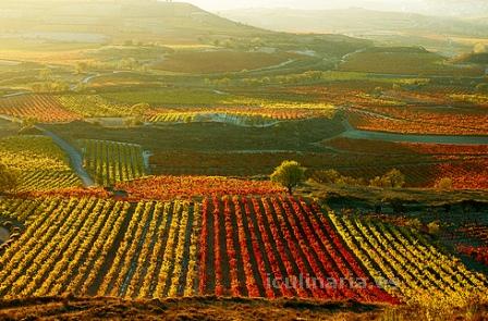 La Rioja, España | Innova Culinaria