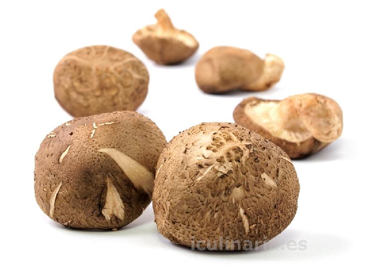 seta shiitake | Innova Culinaria