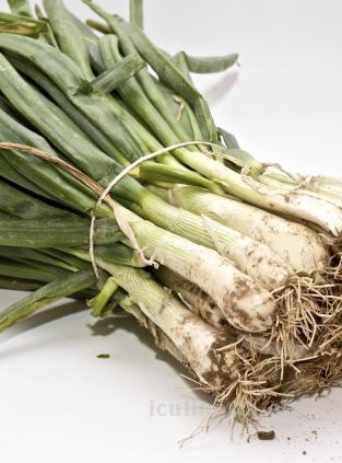 calçot | Innova Culinaria