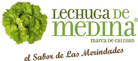 lechuga batavía | Innova Culinaria