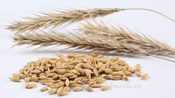 avena | Innova Culinaria