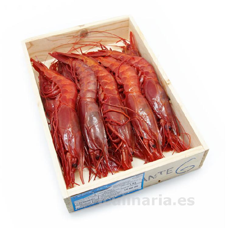 carabinero | Innova Culinaria