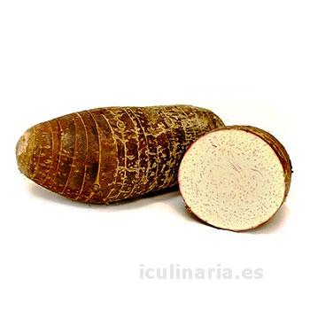 malanga | Innova Culinaria