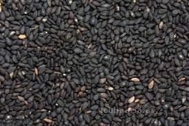 semillas de sésamo | Innova Culinaria