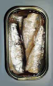sardinas | Innova Culinaria