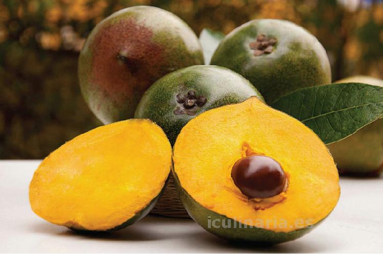 Polvo de lucuma | Innova Culinaria