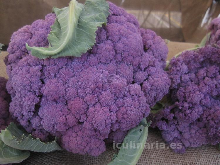 coliflor | Innova Culinaria