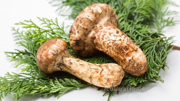 Hongo matsutake | Innova Culinaria