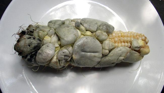 Huitlacoche | Innova Culinaria