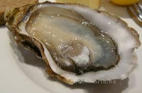 ostras | Innova Culinaria