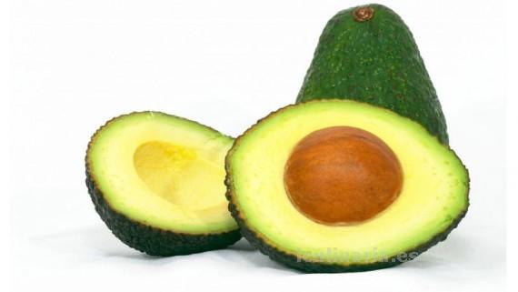 aguacate | Innova Culinaria