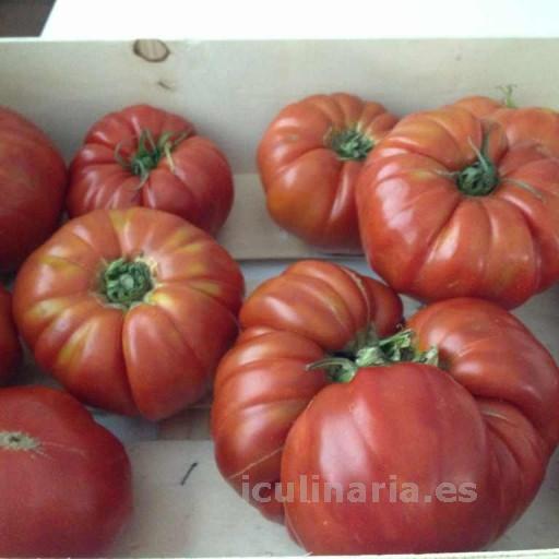 Marmande cuarenteno | Innova Culinaria