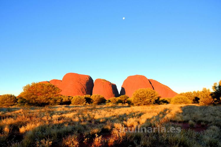 Australia | Innova Culinaria