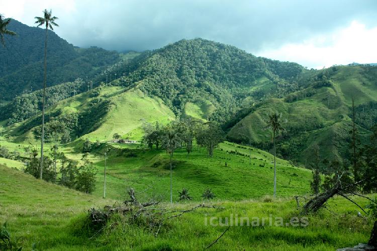 Colombia | Innova Culinaria