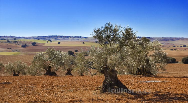 Extremadura, España | Innova Culinaria