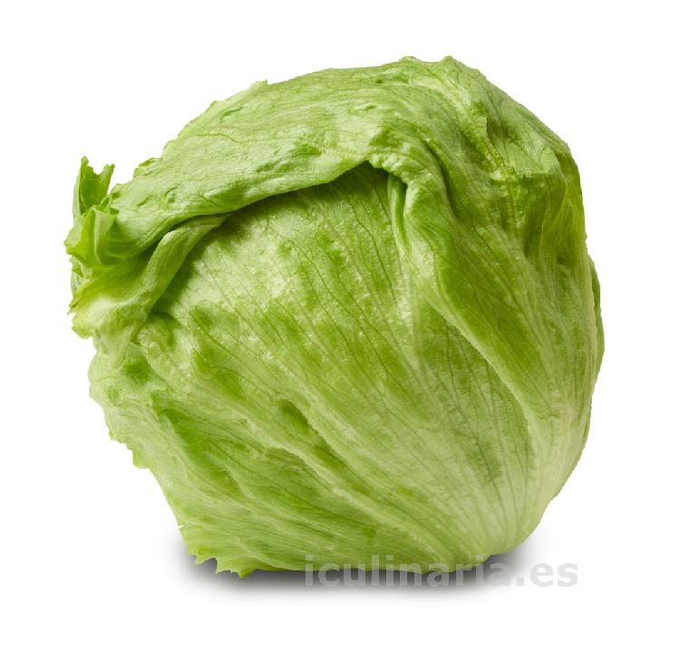 lechuga | Innova Culinaria