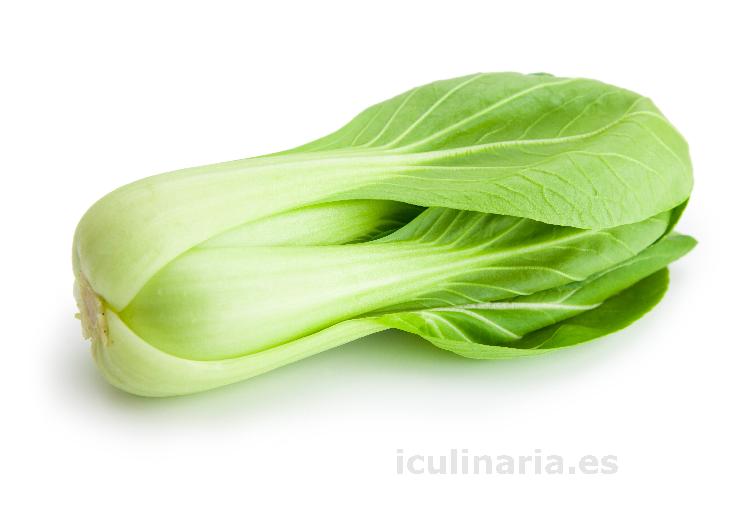 col china pak-choi | Innova Culinaria