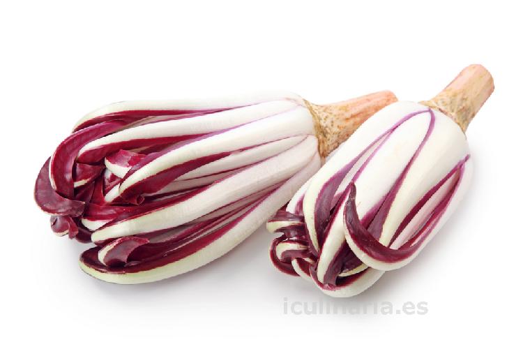 radicchio trevisano | Innova Culinaria