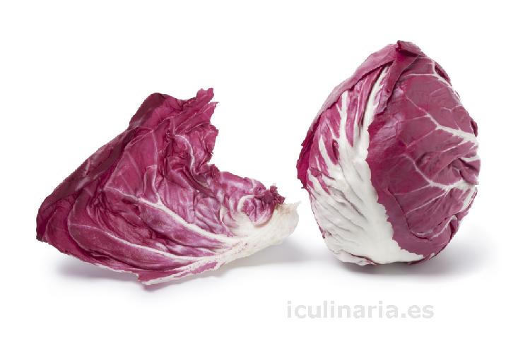 radicchio chioggia | Innova Culinaria