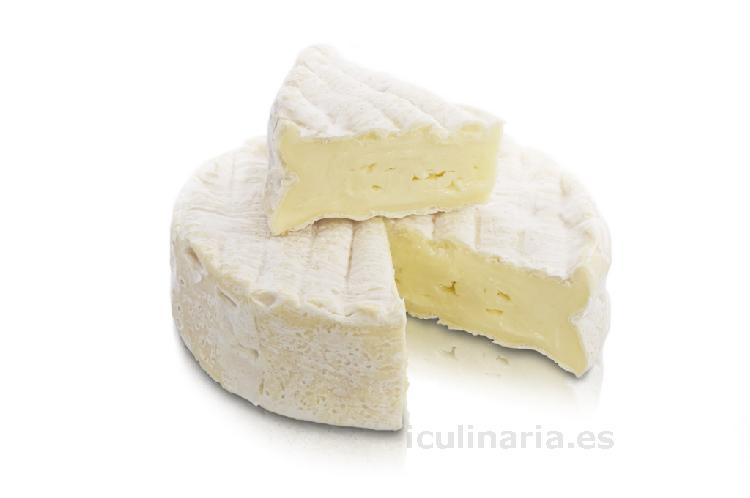 queso | Innova Culinaria