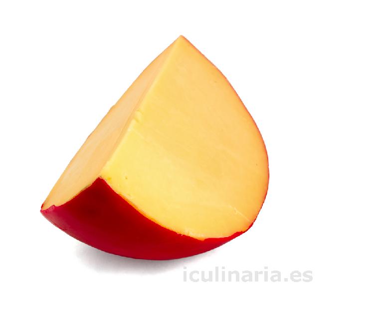 queso | Innova Culinaria
