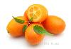 kumquat