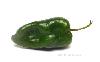 Chile poblano