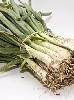 calçot