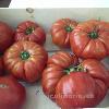 Marmande cuarenteno