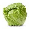 lechuga iceberg