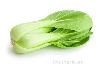 col china pak-choi